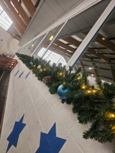 guirlande-de-sapin-lumineuse-2