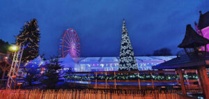 sapin-de-noel-conique-orne-detoiles-lumineuses-led (4)