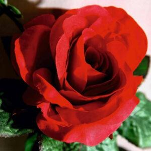 guirlande-de-roses-artificielles-2