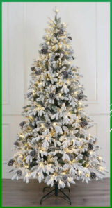 sapin-blanc-indoor-1