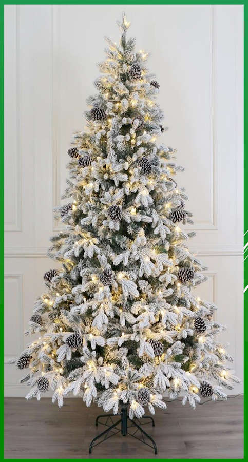 sapin-blanc-indoor-1