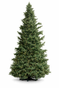 sapin-synthetique-vert-au-look-naturel-de-600cm-outdoor-1