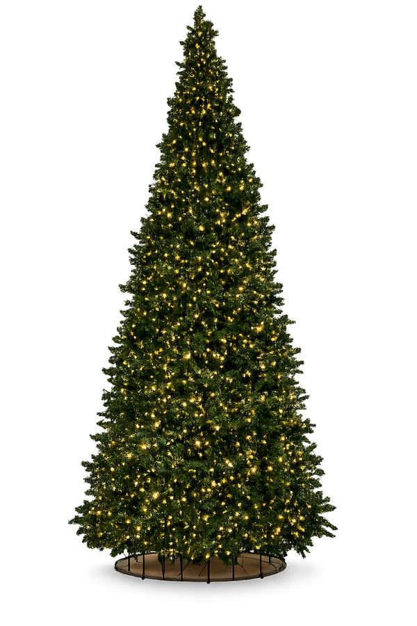 sapin-vert-conique-300cm-outdoor-1