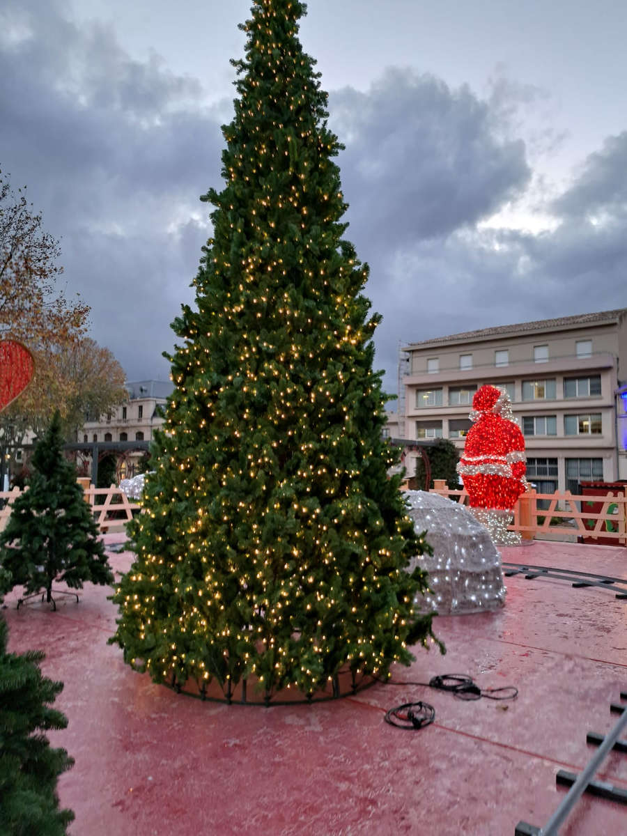 sapin-vert-conique-600cm-outdoor