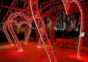 arche-en-forme-de-coeur-lumineuse-8