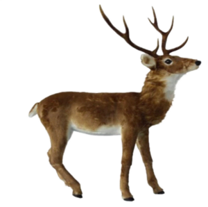 automate-cerf-brun-2