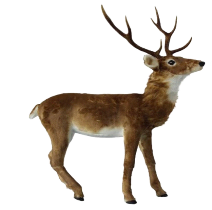 automate-cerf-brun-2