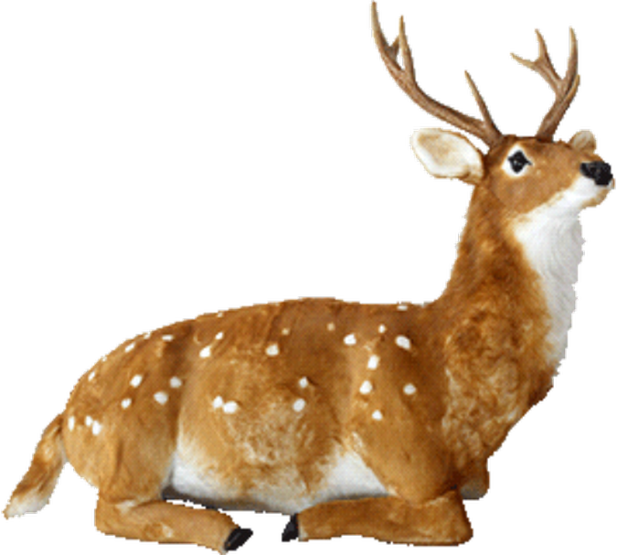 automate-cerf-brun-couche