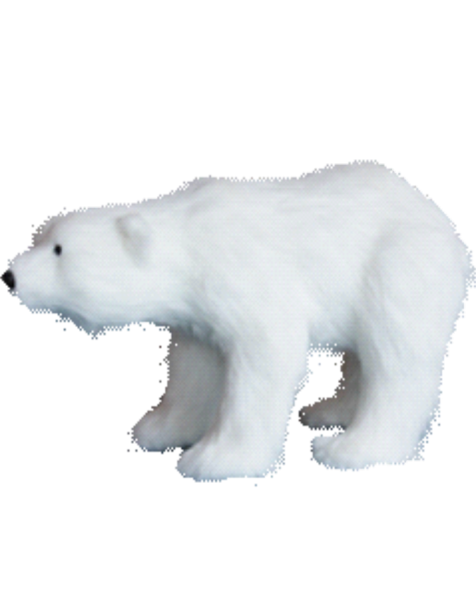 automate-petit-ours-polaire