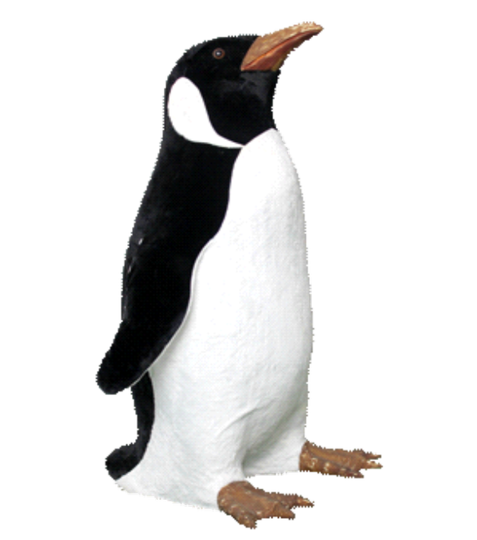 petit-pingouin-tete-levee-corp-anime