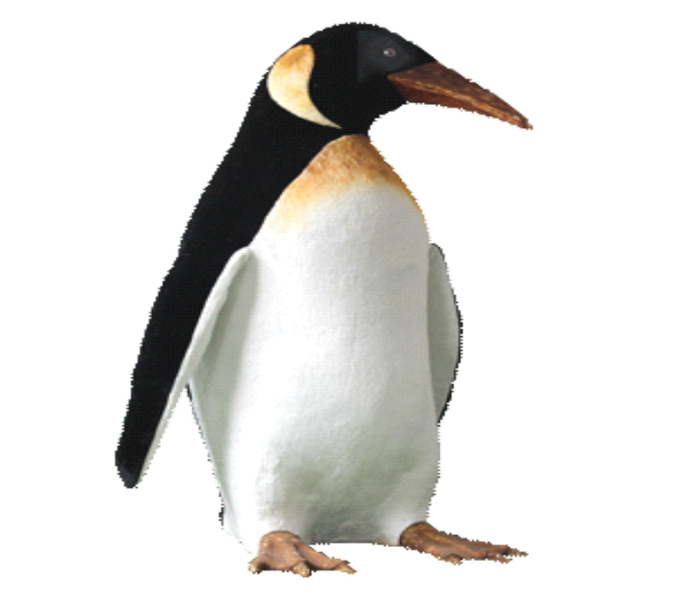 pingouin-femelle-debout-ailes-animees