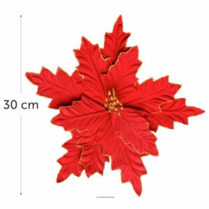 poinsettia-rouge-3