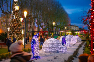 Magie de Noël  -square Gambetta