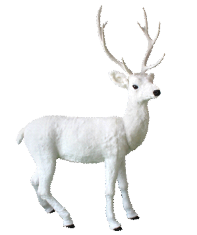 automate-cerf-blanc-avec-musique