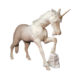automate-licorne