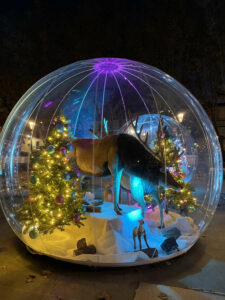 bulle-gonflable-dimension-35m-2
