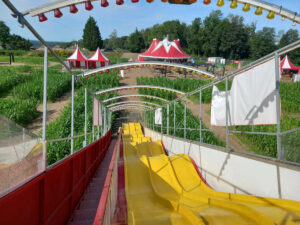 luge-toutes-saisons-xxl-2