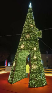 sapin-passage-noeud-3