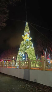 sapin-passage-ourson-3