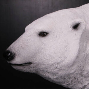 ours-polaire-sur-pattes-3