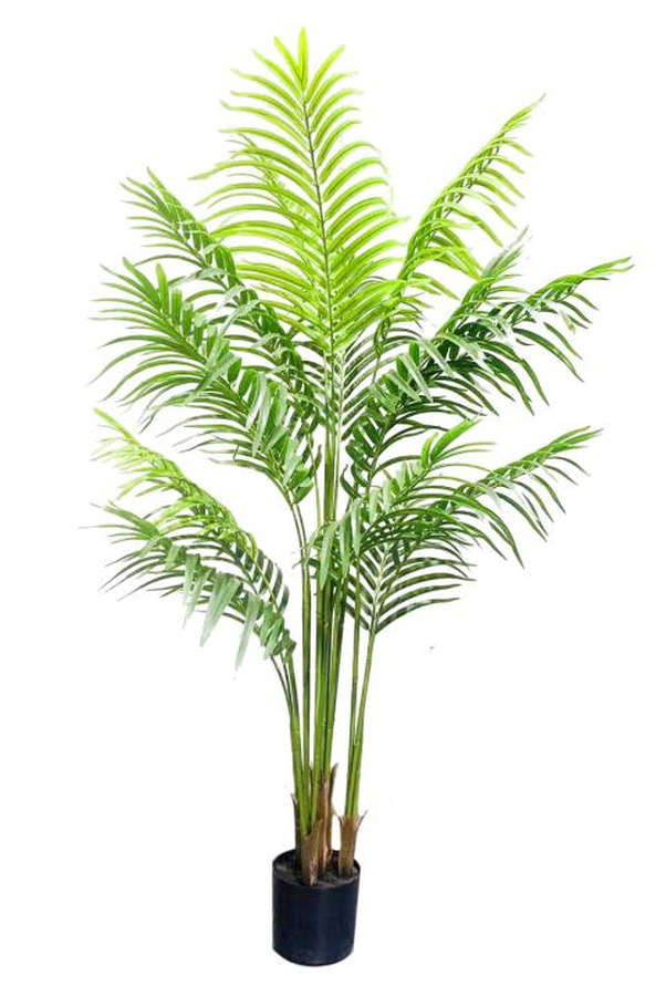 Palmier Areca artificiel de 210cm