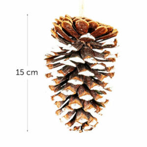 pomme-de-pin-de-15cm-2