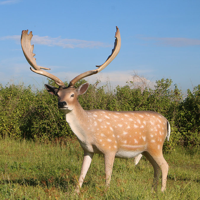 cerf