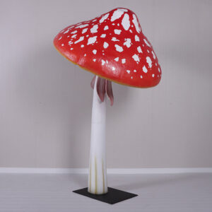 champignon-xl-2