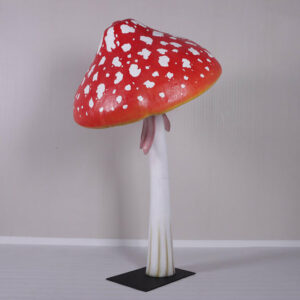 champignon-xl-3