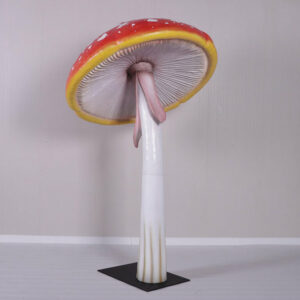 champignon-xl-4