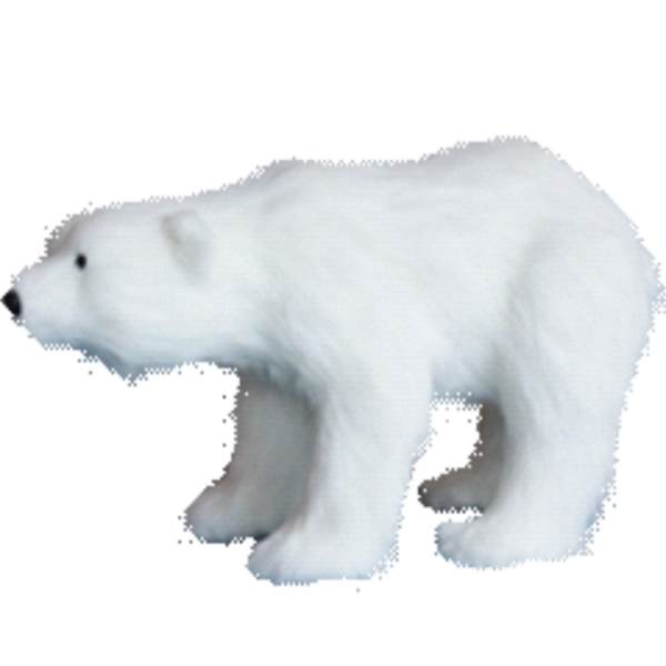 automate-petit-ours-polaire