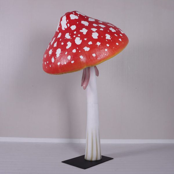 champignon-xl-3